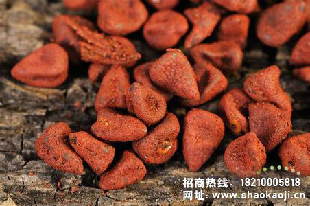 卤汁怎么做