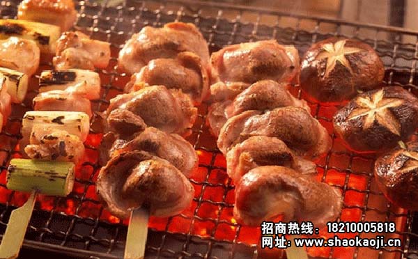 电热烧烤炉制作广东烧烤食材二